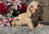 Skyler